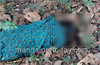 Mangaluru: Pregnant womans decomposed body found in Ullal;  husband arrested